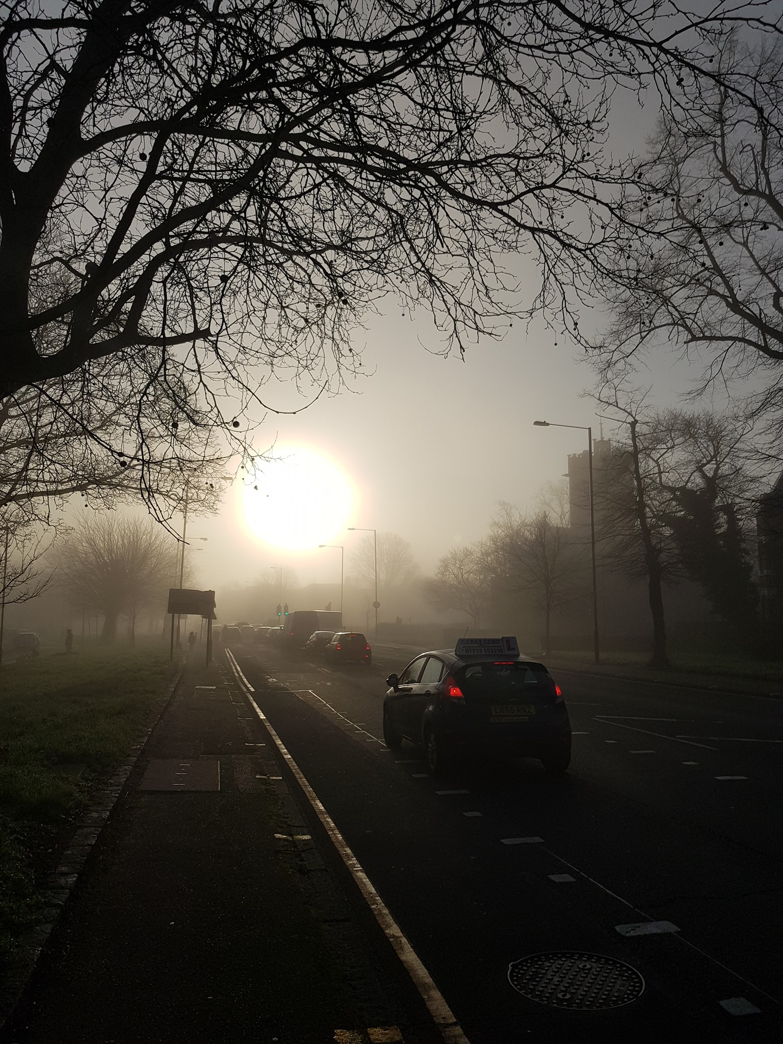 Foggy Commute